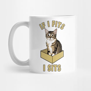 If I Fits, I Sits Funny Cat Design Mug